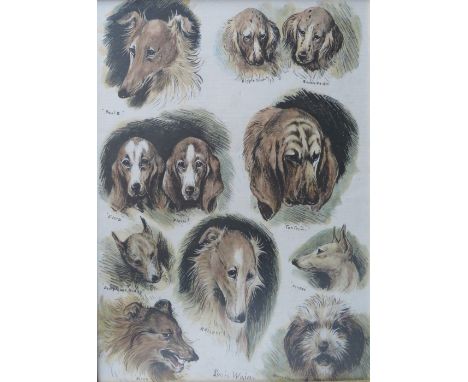 LOUIS WAIN (1860-1939). A coloured antique print 'Sketches from the Dog Show at the Crystal Palace', signed in plate, framed 