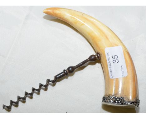 Late 19th C corkscrew, the handle formed from a boars tusk with white metal mounts engraved T. O. L. 