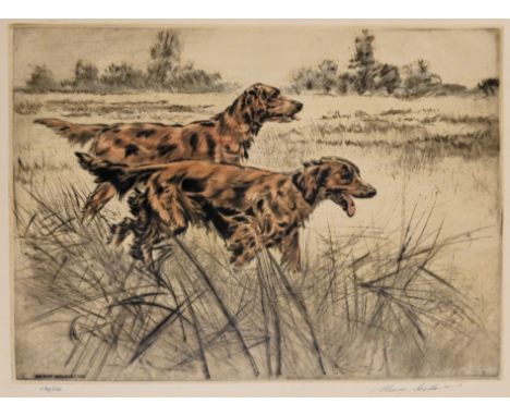 Henry Wilkinson, a signed limited edition coloured etching of Irish Red Setters 134/150. 25 x 36 cm, framed and mounted.