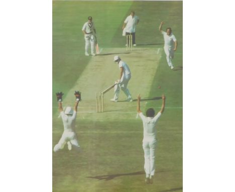 A limited edition Magnificent Seven Series Ian Botham cricketing print, limited edition number 188/500, bearing signature to 