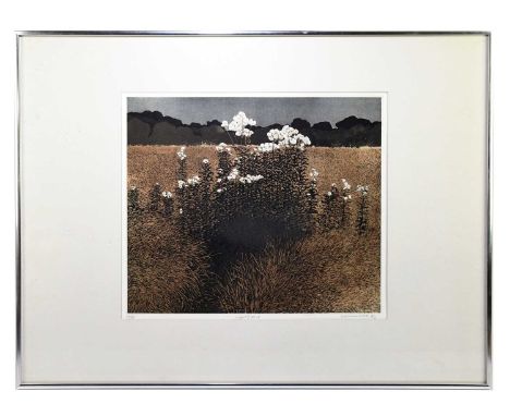 † PHILIP GREENWOOD; limited edition coloured print, ‘Night Field’, signed and dated lower right, 27/75, 46 x 39cm, framed and
