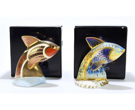 ROYAL CROWN DERBY; two animal form paperweights comprising ‘Tropical Fish’ and ‘Guppy’ 501/2500, each boxed.Condition Report: