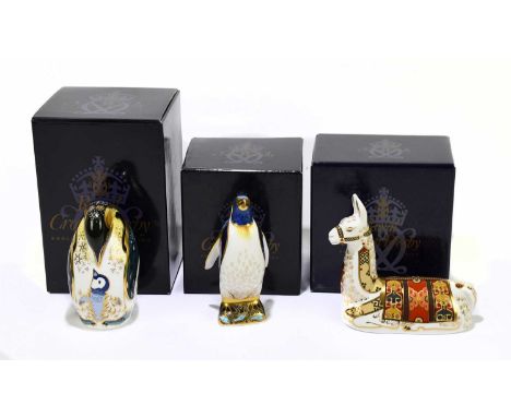 ROYAL CROWN DERBY; three animal form paperweights to include ‘Emperor Penguin’, ‘Llama’, etc, each boxed (3).Condition Report