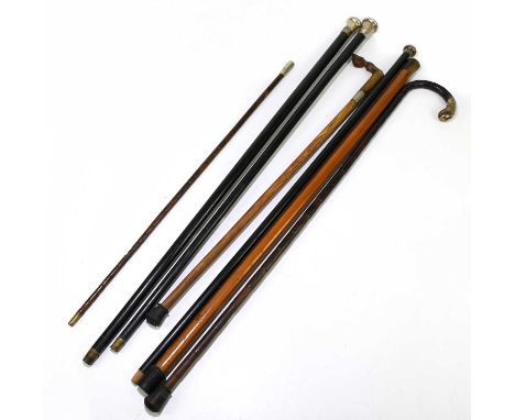 A collection of six walking canes to include a hallmarked silver mounted example with ebonised shaft, London 1902, a horn han