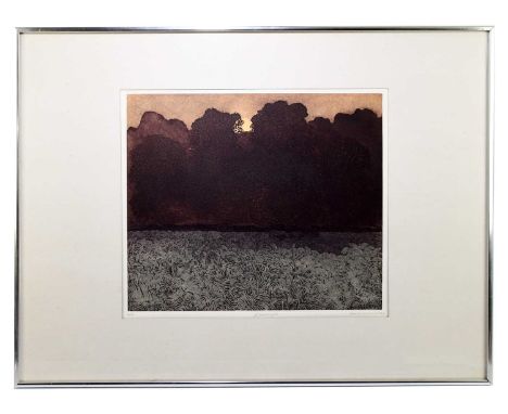 † PHILIP GREENWOOD; limited edition print, ‘Wood Light’, signed and dated lower right, 63/75, 46 x 39cm, framed and glazed.