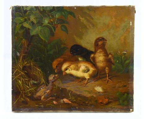EARLY 20TH CENTURY BRITISH SCHOOL; oil on canvas, chicks, signed with initial 'M' and dated '05, 30 x 35cm, unframed.Conditio