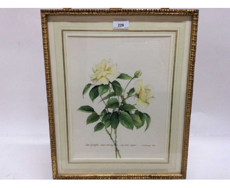 James Steinmeyer, group of seven botanical watercolours, each titled, signed and dated 1986-87, in glazed frames, various siz