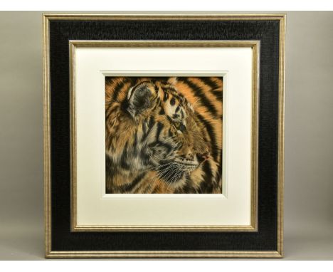 VALERIE SIMMS (BRITISH 1965) 'BULLSEYE', A PORTRAIT OF A TIGER, signed bottom right, pastel on paper, approximate sizes - ima