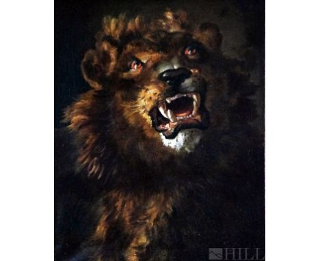 Portrait of a Roaring Lion  (European, 19th Century)  Oil on Board  Signed, Lower right  Board: 27 in. x 12 1/4 in.; Frame: 3
