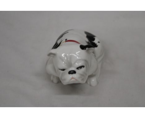 A ROYAL DOULTON LONDON SERIES BULLDOG "PATCH" DD002 