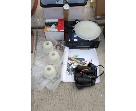 AN ASSORTMENT OF ITEMS TO INCLUDE NINE BRASS BULL RINGS, THREE BIRD PRINTS, A PAIR OF BINOCULARS, AN EPSON PRINTER AND LIGHT 