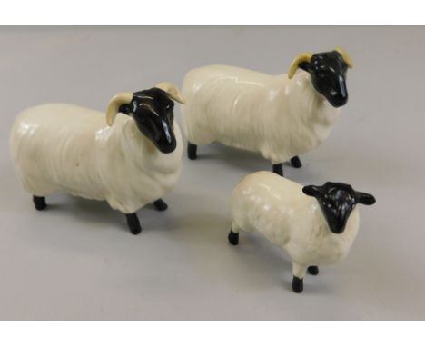 Three Beswick sheep, to include two black faced sheep, model number 1765, 8.3cm high and a black faced lamb, model number 182