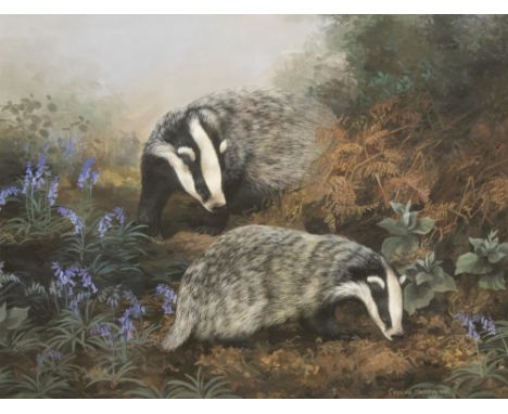Caroline Manning (British Contemporary); Two Badgers, gouache, signed and dated 1991, 30cm x 39cm and a head and neck portrai