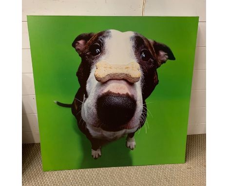 A modern print of a dog with treats on his nose