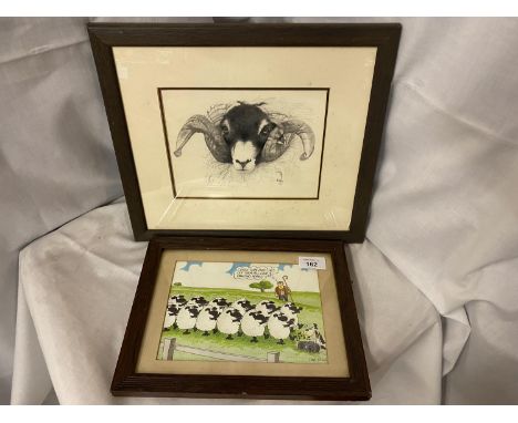TWO WOODEN FRAMED PICTURES, ONE A PENCIL SKETCH OF A RAM SIGNED ON THE REVERSE BY THE ARTIST (KATY) AND A COMICAL SHEPHERD AN