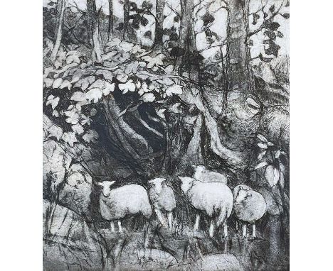 ‡ DIANA ARMFIELD RA limited edition (12/30) monocolour lithograph - entitled verso 'Sheep Against the Bank', signed with init