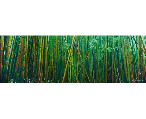 Peter Lik (Australian, b. 1959). Photograph titled "Bamboo," depicting a forest of bamboo in Hana, Hawaii. Silver halide prin