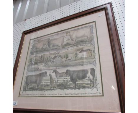 A framed print 'Holt Stock Farm'