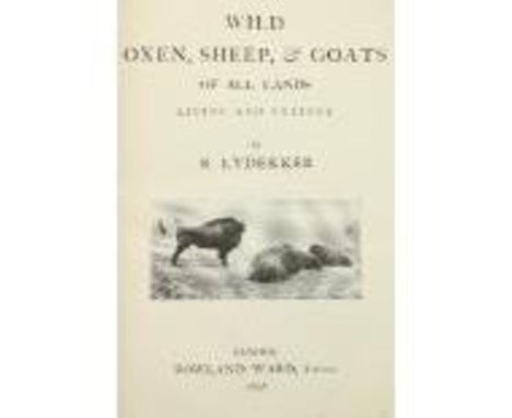 Presentation Copy with Fine Coloured Plates Lydekker (R.)&nbsp;Wild Oxen, Sheep &amp; Goats of All Lands Living and Extinct,&