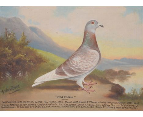 λ Andrew Beer (British 1862-1954)Mad MullahOil on canvasSigned lower left31 x 41cm (12 x 16 in.)Condition Report: Light surfa