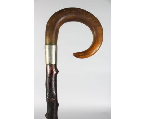 A BRIER WALKING STICK WITH RHINO CROOK HANDLE