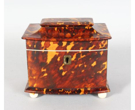 A REGENCY TORTOISESHELL AND IVORY TEA CADDY, with pagoda top, bow front on four ball feet. 5.25in wide 4.5in high