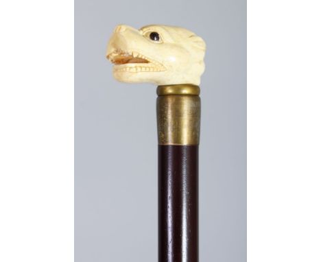 A WALKING STICK, the bone handle carved as a dogs head. 3ft 0ins long.