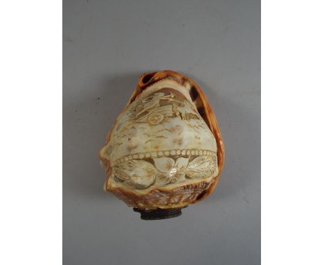 A Conch Shell Lamp Shade with Carved Cameo Depicting Charioteer.