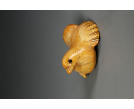 A JAPANESE IVORY BIRD NETSUKE with wings and tail outstretched, with inlaid eyes, Meiji, 1.25" across