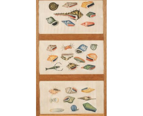 A CHINESE PITH PAPER TRIPTYCH showing shells and crustaceans, Qing, 19th century, each panel c.7" x 13" (framed together)