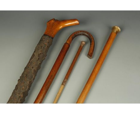 A WALKING CANE, with tapering shaft and horn mounted handle, set with a coin, a similar walking stick with knobbly bark surfa