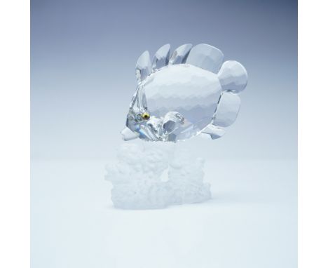 Swarovski crystal figurine featuring the Butterfly Fish, crafted with faceted clear crystal and perched on a frosted coral re