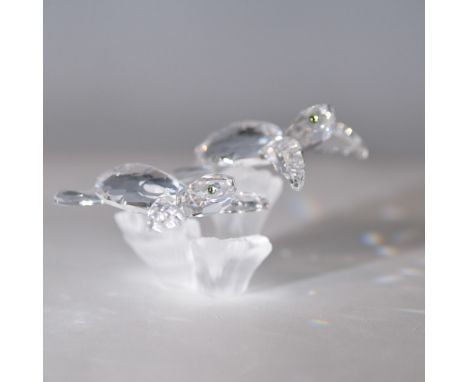 Charming Swarovski crystal figurine featuring two baby sea turtles swimming above a frosted coral reef base. The turtles are 