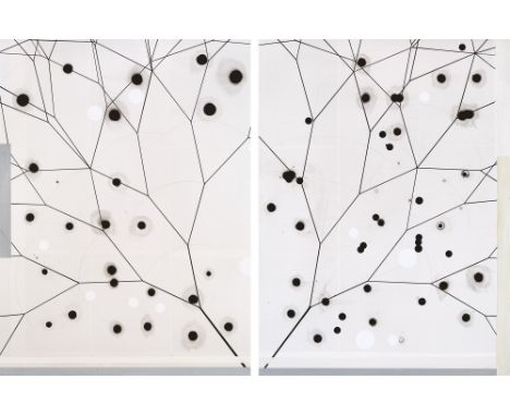 Carsten Nicolai (Karl-Marx-Stadt (Chemnitz) 1965 – lebt in Berlin). „Crystal Pfade“. 1999Diptychon: jeweils Öl, Grafit und Tu
