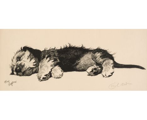 * Aldin (Cecil Charles Windsor, 1870 - 1935). Dandie Dinmont Puppy, uncoloured lithograph, boldly signed by the artist in pen