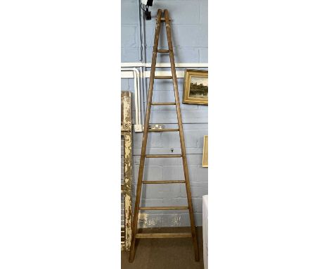 A very large and impressive tapering fruit picker's ladder