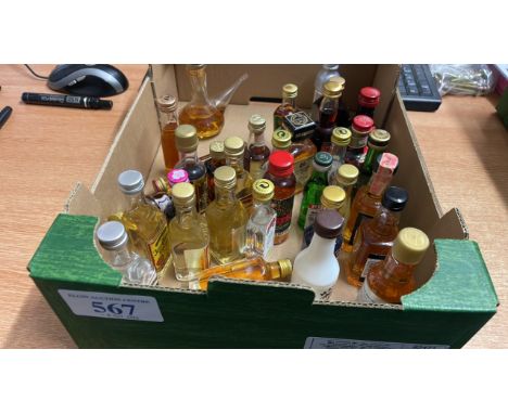  Sale Item:    BOX ASSORTED MINIATURES ETC   Vat Status:   No Vat   Buyers Premium:  This lot is subject to a Buyers Premium 