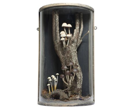 A Victorian display of carved wood and painted mushroom group, depicting various fungi growing on a trunk and a fallen branch