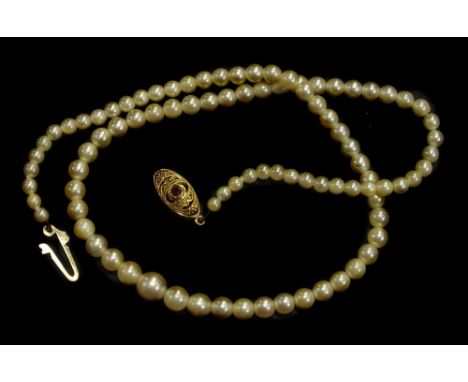 A single strand cultured pearl necklace, with a yellow metal clasp, with an 18ct gold clasp, set with ruby, the graduated pea