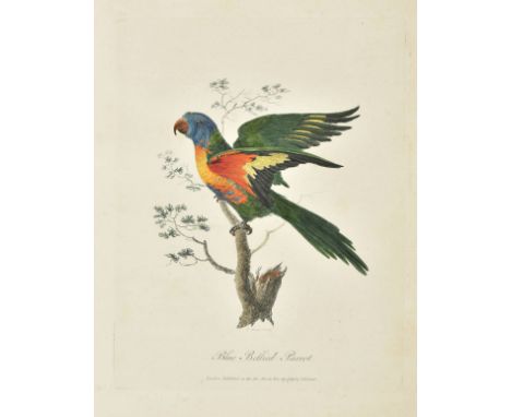 White (John). Journal of a Voyage to New South Wales, 1st edition, J. Debrett, 1790, engraved title vignette (with marginal r