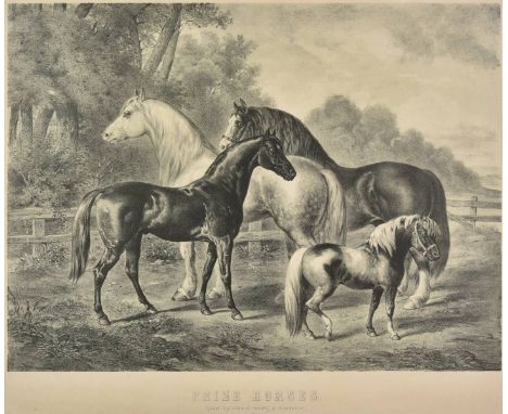 * Horses. Prize Horses. Royal Agricultural Society at Manchester, 1869, unattributed and uncoloured lithograph, 505 x 606 mm,