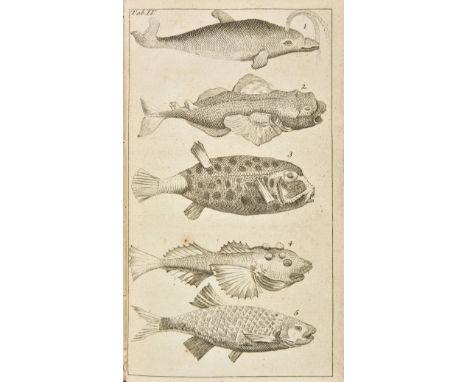 Linnaeus (Carl), Systema naturae ... editio multo auctior et emendatior, 9th edition, Leiden: Theodor Haak, 1756, 8 engraved 