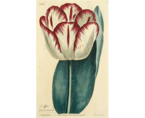 Curtis (William). Botanical Magazine, or the Flower Garden Displayed, 3 volumes, circa 1800-1820's, 374 hand-coloured engrave