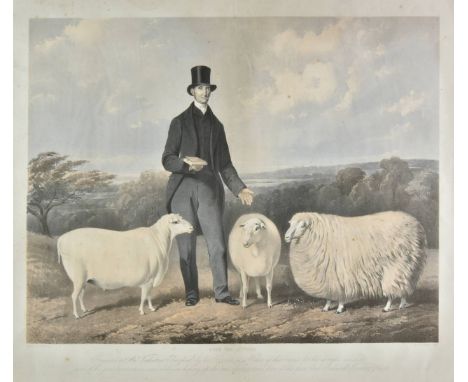 * Hanhart (M. &amp; N., lithographers). From the picture presented to Mr. Valentine Burford by his friends as a token of thei