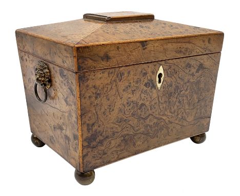 George III burr yew tea caddy, of sarcophagus form with lion mask ring handles and four brass ball feet, the hinged lid openi