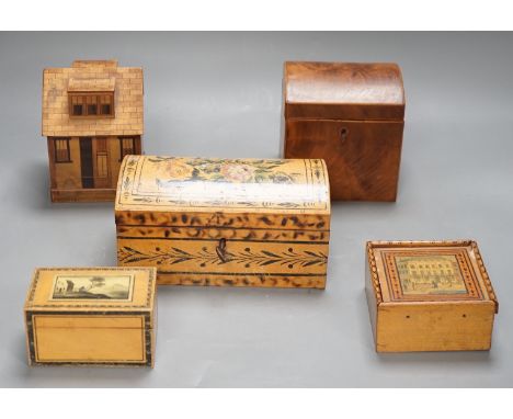 A selection of treen boxes, to include a house shaped money box,  13cm high, a 19th century ash? dome top tea caddy, with ivo