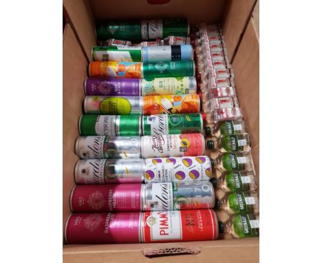 A  BOX CONTAINING 20 ASSORTED CANS OF GIN PLUS 20 SMALL BOTTLES OF GIN