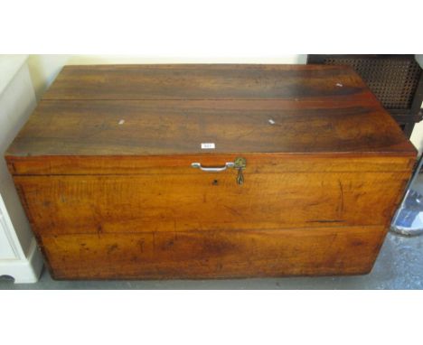 19th Century mahogany rectangular trunk with fitted interior and metal carrying handles, of large proportions. (B.P. 24% incl