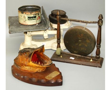 A preserve pike mask on wood shield, Loch Awe 1984, a willow pattern etched brass table gong and a set of Edwardian shop scal