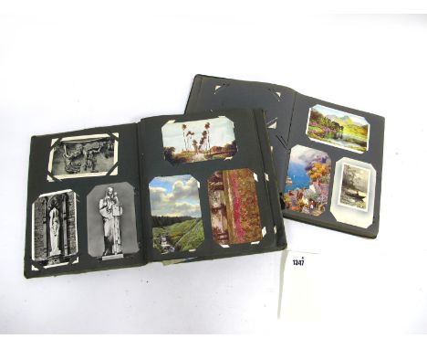 Two Early XX Century Albums of Picture Postcards, to include: topographical, comic, animals, art, etc.
